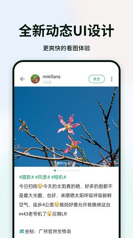 有人想不通，为啥李宁只邀请亚军全红婵，冠军陈芋汐却无人问津